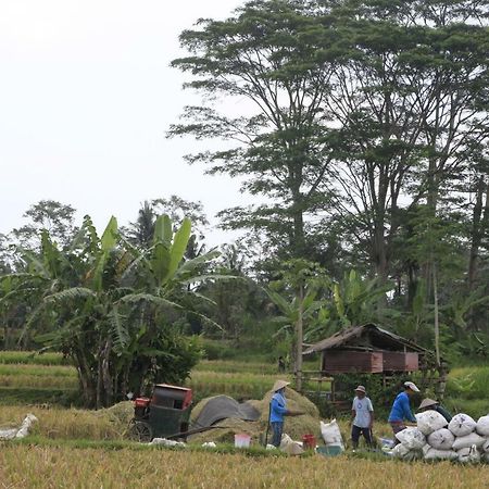 Pondok Gepokan Homestay Ουμπούντ Εξωτερικό φωτογραφία